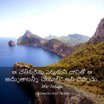 Picture 03 - నిర్గమకాండం 4:17 TELIRV - ఆ చేతికర్రను - Bible Verse Picture