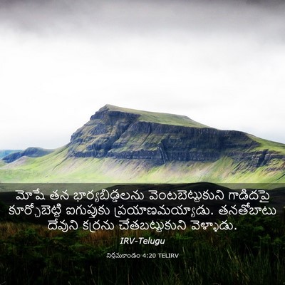 Picture 03 - నిర్గమకాండం 4:20 TELIRV - మోషే తన - Bible Verse Picture