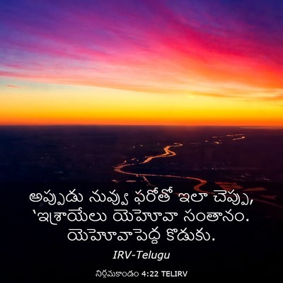 Picture 03 - నిర్గమకాండం 4:22 TELIRV - అప్పుడు నువ్వు - Bible Verse Picture