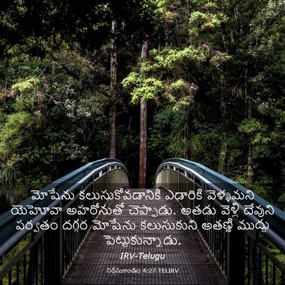 Picture 03 - నిర్గమకాండం 4:27 TELIRV - మోషేను - Bible Verse Picture
