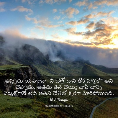 Picture 03 - నిర్గమకాండం 4:4 TELIRV - అప్పుడు యెహోవా - Bible Verse Picture