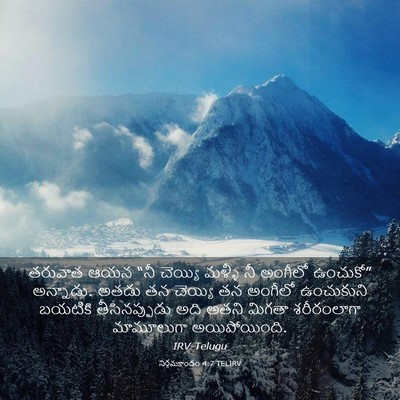 Picture 03 - నిర్గమకాండం 4:7 TELIRV - తరువాత ఆయన “నీ - Bible Verse Picture