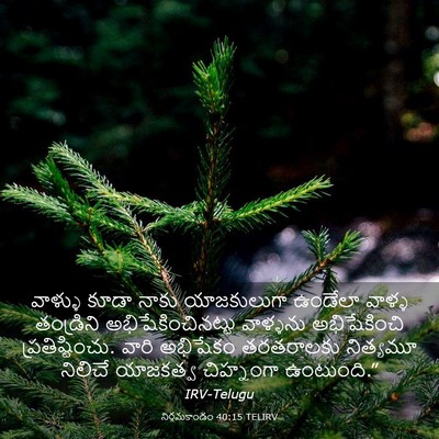 Picture 03 - నిర్గమకాండం 40:15 TELIRV - వాళ్ళు కూడా నాకు - Bible Verse Picture