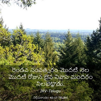 Picture 03 - నిర్గమకాండం 40:17 TELIRV - రెండవ సంవత్సరం - Bible Verse Picture