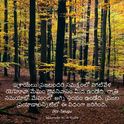 Picture 03 - నిర్గమకాండం 40:38 TELIRV - ఇశ్రాయేలు - Bible Verse Picture