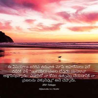 Picture 03 - నిర్గమకాండం 5:1 TELIRV - ఈ విషయాలు జరిగిన - Bible Verse Picture