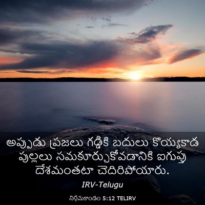 Picture 03 - నిర్గమకాండం 5:12 TELIRV - అప్పుడు ప్రజలు - Bible Verse Picture