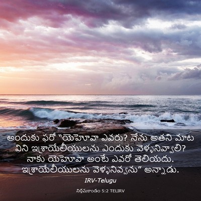 Picture 03 - నిర్గమకాండం 5:2 TELIRV - అందుకు ఫరో - Bible Verse Picture