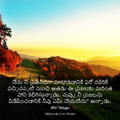 Picture 03 - నిర్గమకాండం 5:23 TELIRV - నేను నీ - Bible Verse Picture