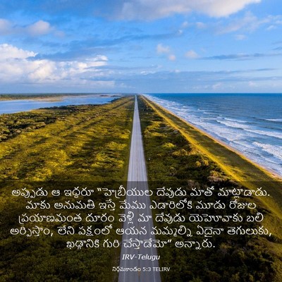 Picture 03 - నిర్గమకాండం 5:3 TELIRV - అప్పుడు ఆ ఇద్దరూ - Bible Verse Picture