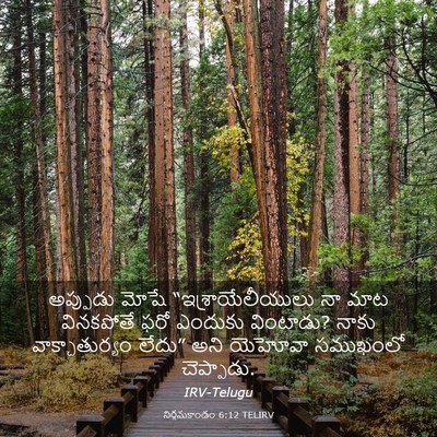 Picture 03 - నిర్గమకాండం 6:12 TELIRV - అప్పుడు మోషే - Bible Verse Picture