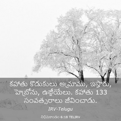 Picture 03 - నిర్గమకాండం 6:18 TELIRV - కహాతు కొడుకులు - Bible Verse Picture