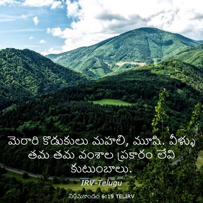 Picture 03 - నిర్గమకాండం 6:19 TELIRV - మెరారి కొడుకులు - Bible Verse Picture
