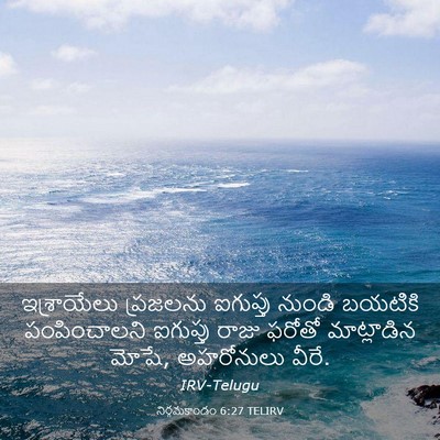 Picture 03 - నిర్గమకాండం 6:27 TELIRV - ఇశ్రాయేలు ప్రజలను - Bible Verse Picture
