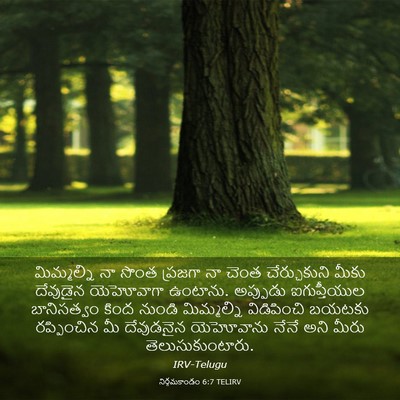 Picture 03 - నిర్గమకాండం 6:7 TELIRV - మిమ్మల్ని నా సొంత - Bible Verse Picture