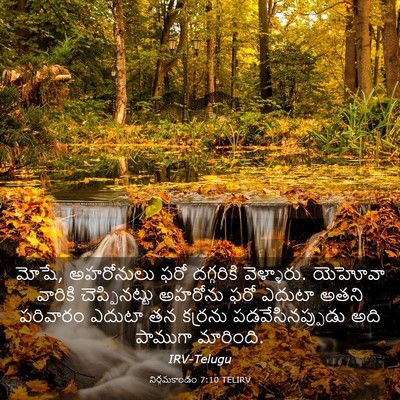 Picture 03 - నిర్గమకాండం 7:10 TELIRV - మోషే, అహరోనులు ఫరో - Bible Verse Picture