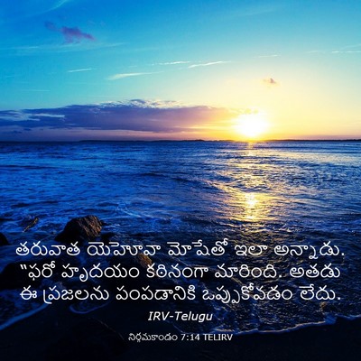 Picture 03 - నిర్గమకాండం 7:14 TELIRV - తరువాత యెహోవా - Bible Verse Picture