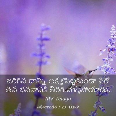 Picture 03 - నిర్గమకాండం 7:23 TELIRV - జరిగిన దాన్ని - Bible Verse Picture