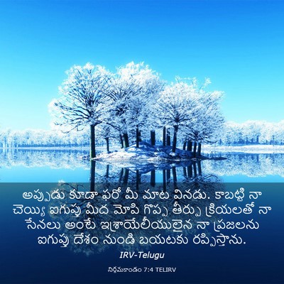 Picture 03 - నిర్గమకాండం 7:4 TELIRV - అప్పుడు కూడా ఫరో - Bible Verse Picture