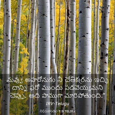 Picture 03 - నిర్గమకాండం 7:9 TELIRV - నువ్వు అహరోనుకు - Bible Verse Picture