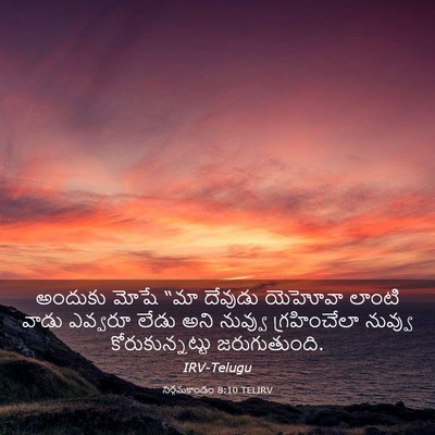 Picture 03 - నిర్గమకాండం 8:10 TELIRV - అందుకు మోషే “మా - Bible Verse Picture