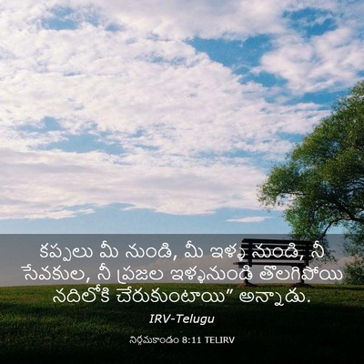 Picture 03 - నిర్గమకాండం 8:11 TELIRV - కప్పలు మీ నుండి, మీ - Bible Verse Picture