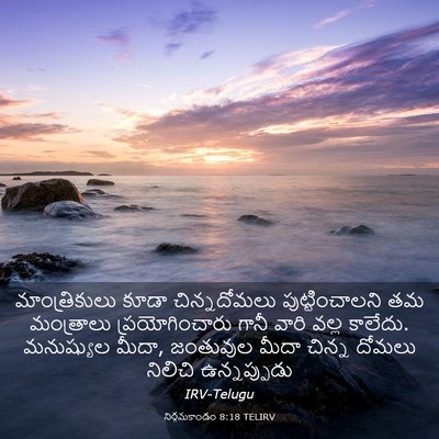 Picture 03 - నిర్గమకాండం 8:18 TELIRV - మాంత్రికులు కూడా - Bible Verse Picture