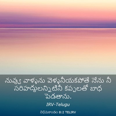 Picture 03 - నిర్గమకాండం 8:2 TELIRV - నువ్వు వాళ్ళను - Bible Verse Picture