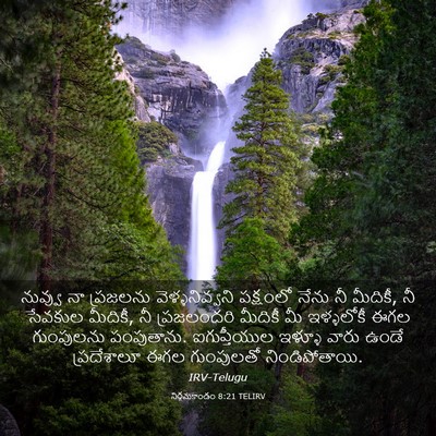 Picture 03 - నిర్గమకాండం 8:21 TELIRV - నువ్వు నా ప్రజలను - Bible Verse Picture