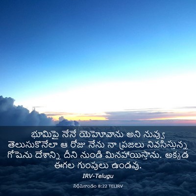 Picture 03 - నిర్గమకాండం 8:22 TELIRV - భూమిపై నేనే - Bible Verse Picture