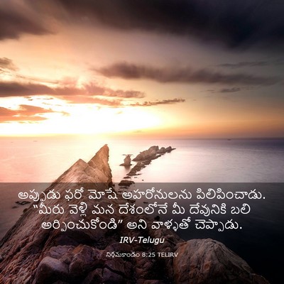 Picture 03 - నిర్గమకాండం 8:25 TELIRV - అప్పుడు ఫరో మోషే - Bible Verse Picture