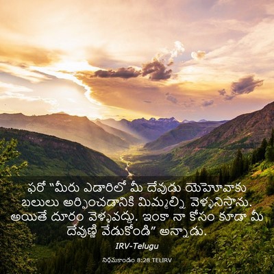 Picture 03 - నిర్గమకాండం 8:28 TELIRV - ఫరో “మీరు ఎడారిలో - Bible Verse Picture