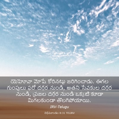 Picture 03 - నిర్గమకాండం 8:31 TELIRV - యెహోవా మోషే - Bible Verse Picture