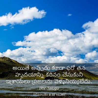 Picture 03 - నిర్గమకాండం 8:32 TELIRV - అయితే అప్పుడు - Bible Verse Picture
