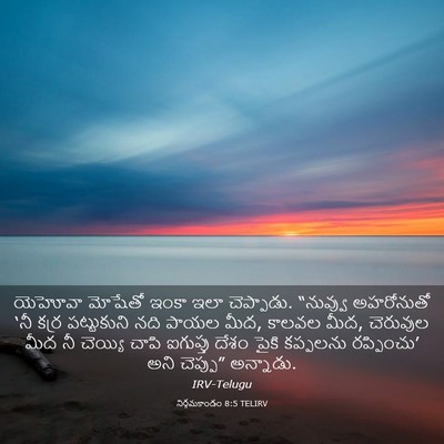 Picture 03 - నిర్గమకాండం 8:5 TELIRV - యెహోవా మోషేతో - Bible Verse Picture