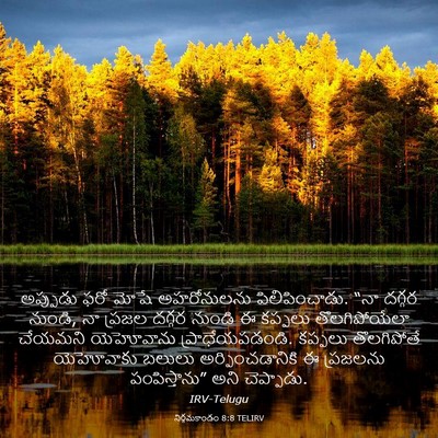 Picture 03 - నిర్గమకాండం 8:8 TELIRV - అప్పుడు ఫరో మోషే - Bible Verse Picture