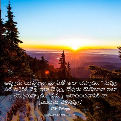 Picture 03 - నిర్గమకాండం 9:1 TELIRV - అప్పుడు యెహోవా - Bible Verse Picture