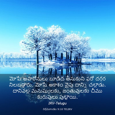 Picture 03 - నిర్గమకాండం 9:10 TELIRV - మోషే అహరోనులు - Bible Verse Picture