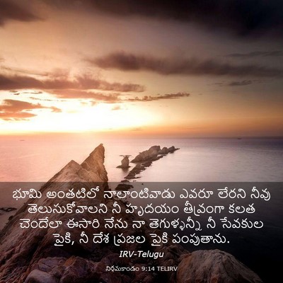 Picture 03 - నిర్గమకాండం 9:14 TELIRV - భూమి అంతటిలో - Bible Verse Picture