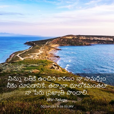 Picture 03 - నిర్గమకాండం 9:16 TELIRV - నిన్ను బతికి - Bible Verse Picture