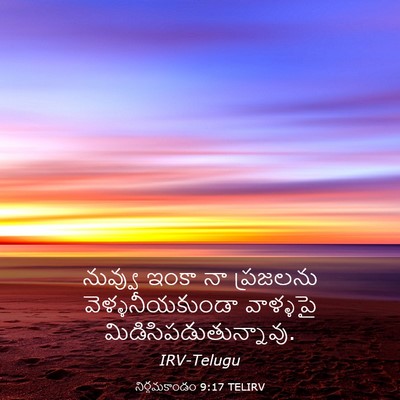 Picture 03 - నిర్గమకాండం 9:17 TELIRV - నువ్వు ఇంకా నా - Bible Verse Picture