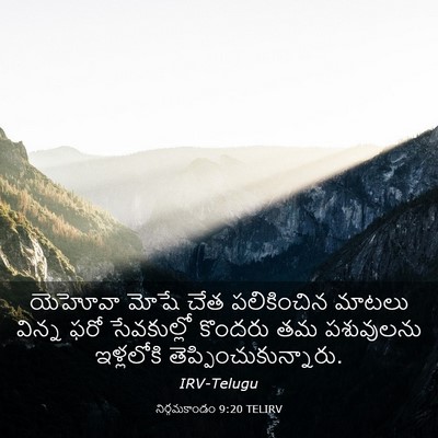 Picture 03 - నిర్గమకాండం 9:20 TELIRV - యెహోవా మోషే చేత - Bible Verse Picture