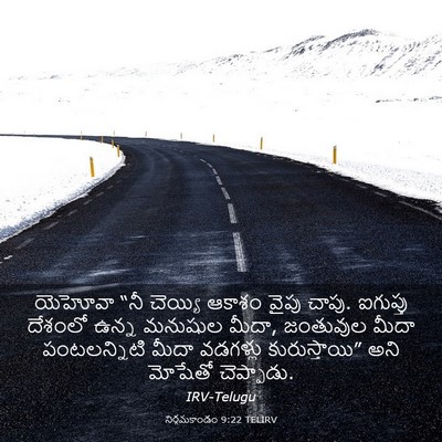 Picture 03 - నిర్గమకాండం 9:22 TELIRV - యెహోవా “నీ చెయ్యి - Bible Verse Picture