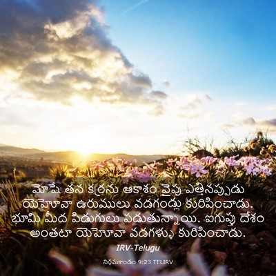 Picture 03 - నిర్గమకాండం 9:23 TELIRV - మోషే తన కర్రను - Bible Verse Picture