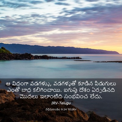 Picture 03 - నిర్గమకాండం 9:24 TELIRV - ఆ విధంగా వడగళ్ళు, - Bible Verse Picture