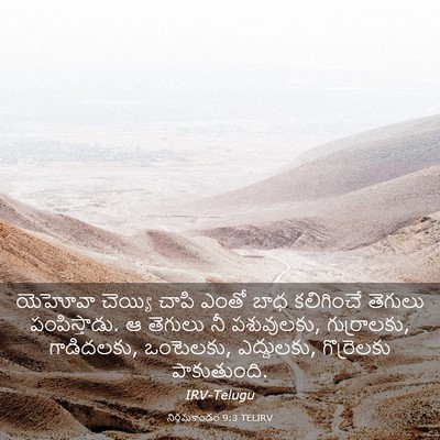 Picture 03 - నిర్గమకాండం 9:3 TELIRV - యెహోవా చెయ్యి - Bible Verse Picture