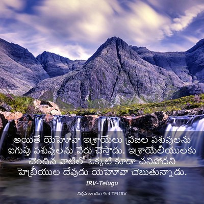 Picture 03 - నిర్గమకాండం 9:4 TELIRV - అయితే యెహోవా - Bible Verse Picture