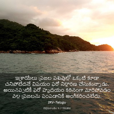 Picture 03 - నిర్గమకాండం 9:7 TELIRV - ఇశ్రాయేలు ప్రజల - Bible Verse Picture