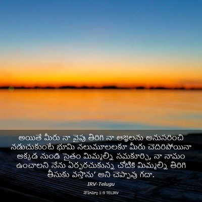 Picture 03 - నెహెమ్యా 1:9 TELIRV - అయితే మీరు నా వైపు - Bible Verse Picture