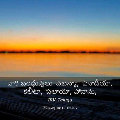 Picture 03 - నెహెమ్యా 10:10 TELIRV - వారి బంధువులు - Bible Verse Picture